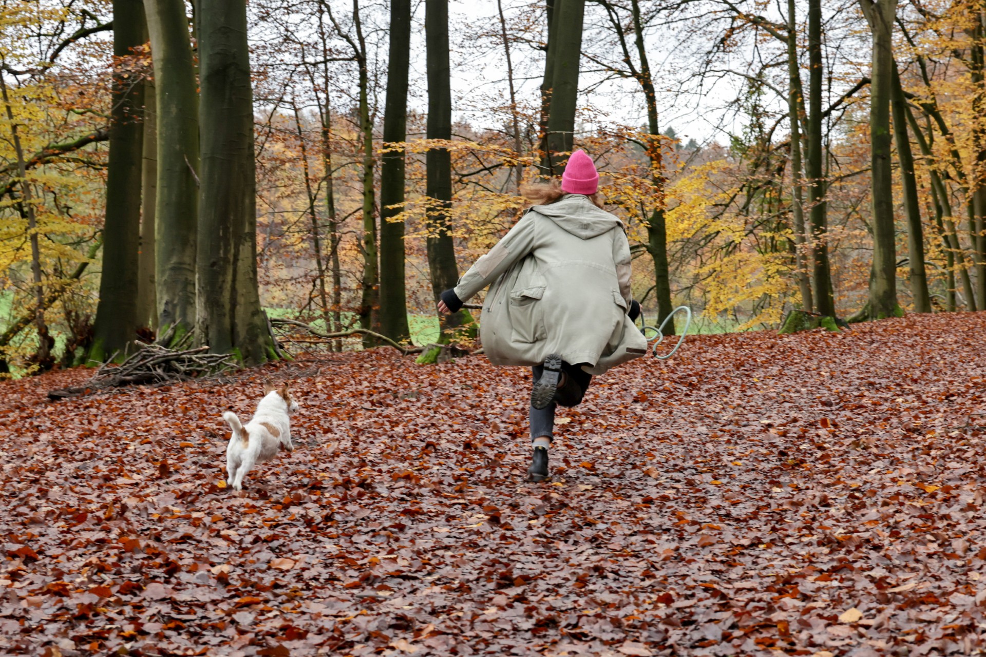 Hundeschule Bissendorf
