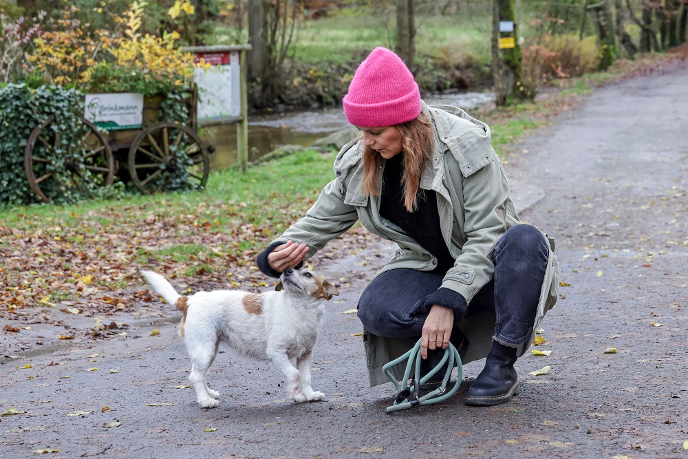 Pfoten verstehen - Leistung