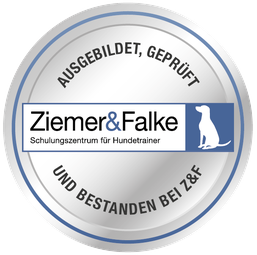 Ziemer & Falke